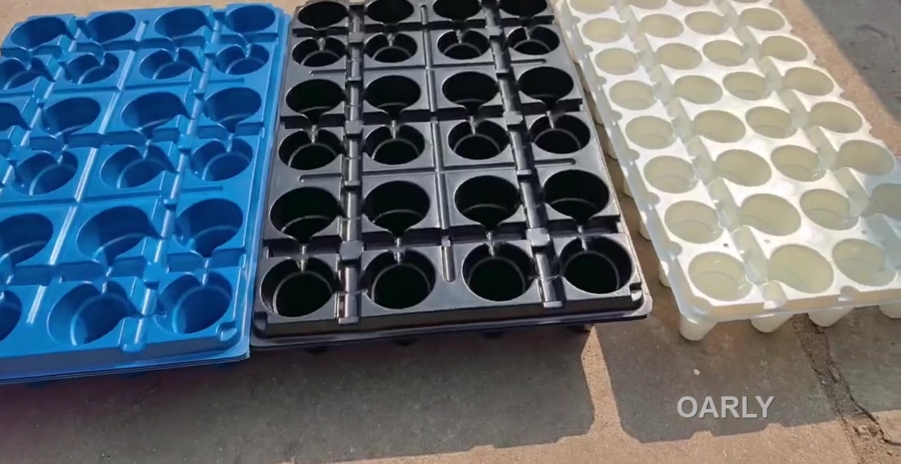 Actual nursery tray formats from the project